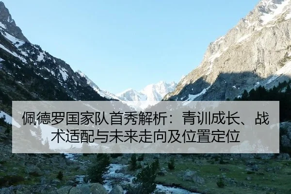 pei-de-luo-guo-jia-dui-shou-xiu-jie-xi-qing-xun-cheng-zhang-zhan-shu-shi-pei-yu-wei-lai-zou-xiang-ji-wei-zhi-ding-wei-2-936.jpg